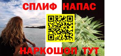 гашик Краснознаменск