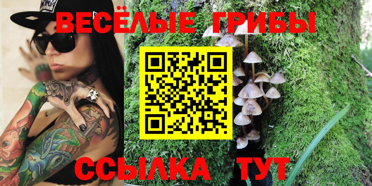 Псилоцибиновые грибы GOLDEN TEACHER  Вход с VPN  купить   Екатеринбург 