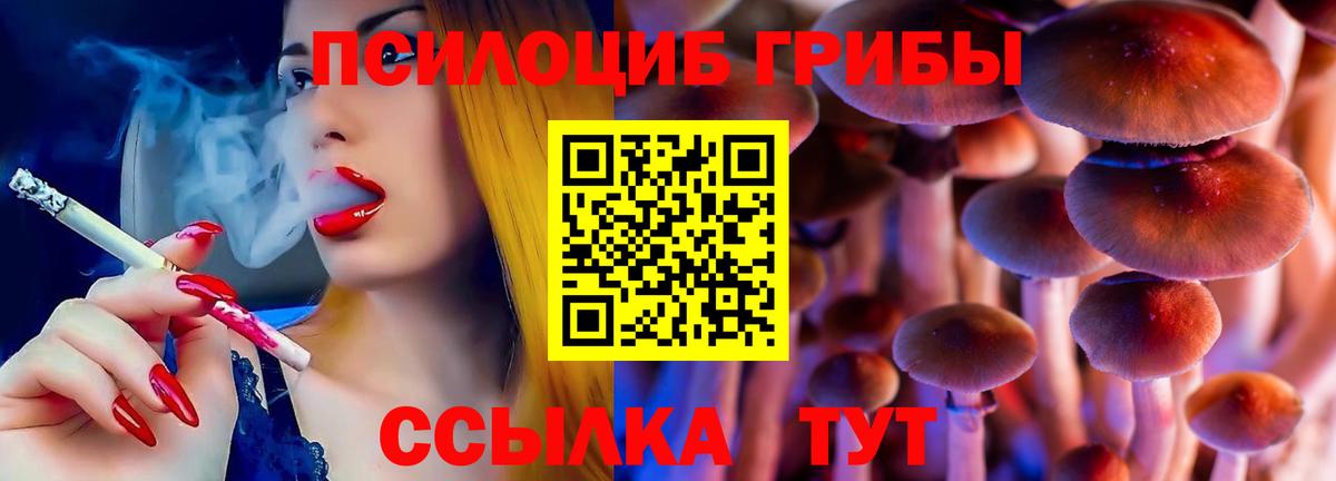 Псилоцибиновые грибы прущие грибы Екатеринбург